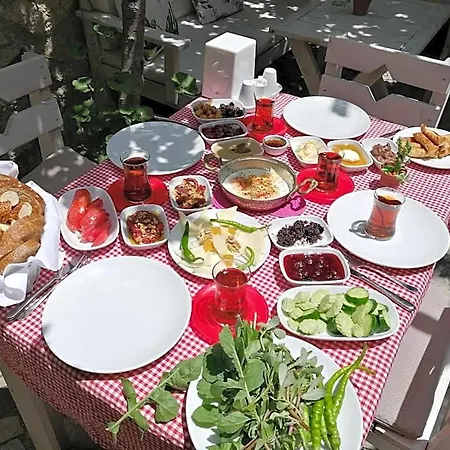 Kaktueshan Ciftlikkoyu